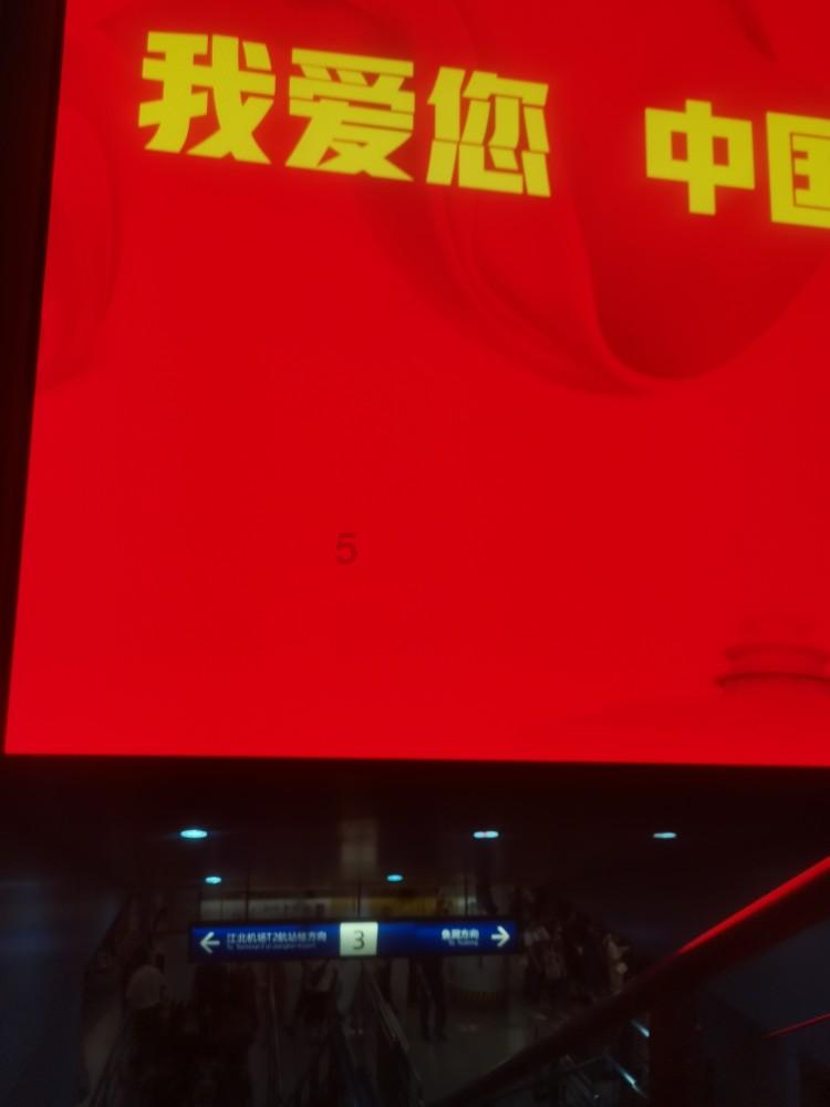 小锯鳄卡丁车竞赛